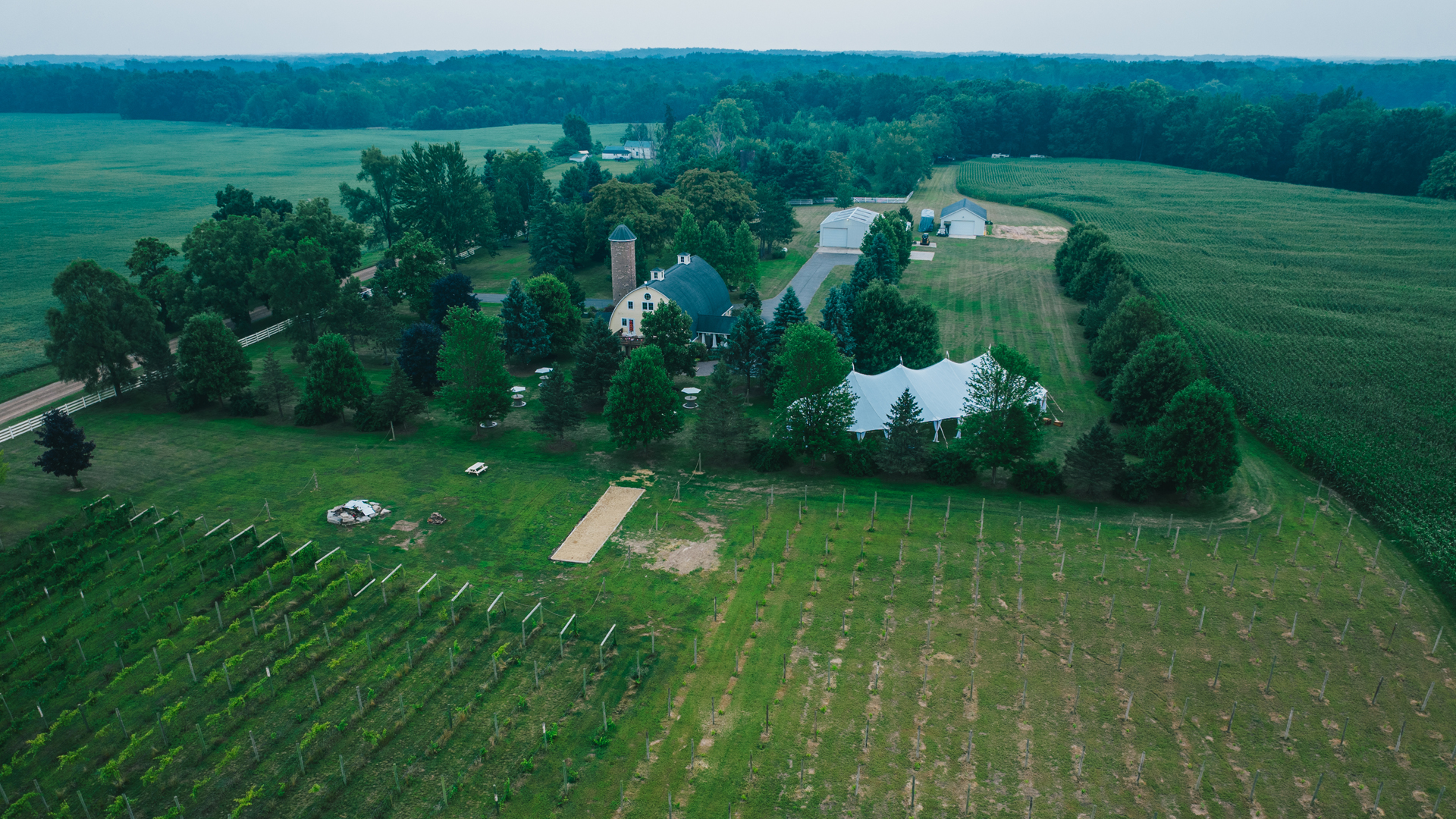 Wilson Estate Vineyards Welcomes John Sauvé and Introduces The King’s Men